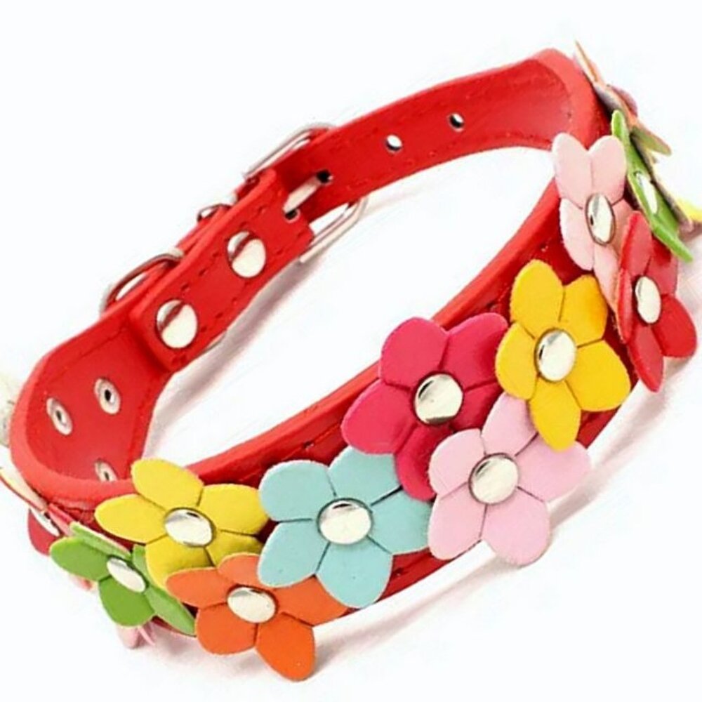 Della Terese Colorful Flowers on Rosy Red Dog Collar Extra Small Gift Packaged